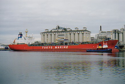 Photo of m/v TOKYO MARINE